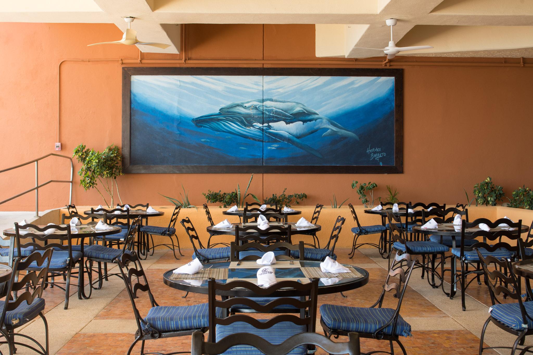 Club Regina Los Cabos San José del Cabo Extérieur photo